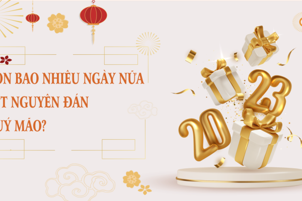 banh-trung-thu-truyen-thong-nao-duoc-ua-chuong-nhat-tai-viet-nam