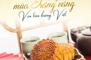 Ăn bánh trung thu có béo không