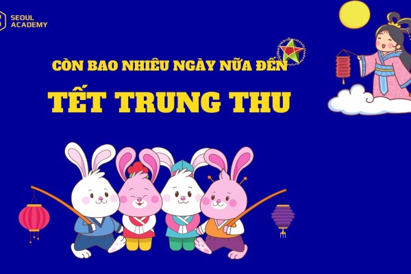 le-hoi-trung-thu-duoc-to-chuc-nhu-the-nao-o-viet-nam