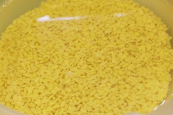 ngam-dau-xanh-trong-nuoc
