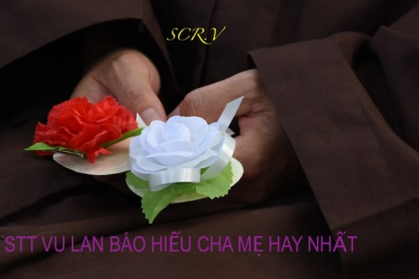 stt-vu-lan-bao-hieu-cha-me